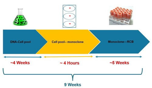 人工智能重塑細胞株開發 Klone 4.0引領細胞技術新紀元